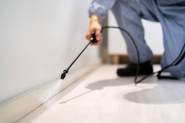 Licensed Pest Control service in Mount Airy, GA - Show Me Pest Control