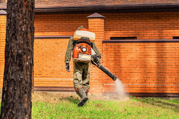 Bed Bug Clearance Verification and Documentation in Mount Airy
